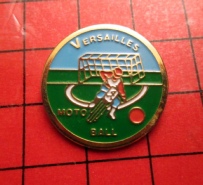 pins versailles.pdf